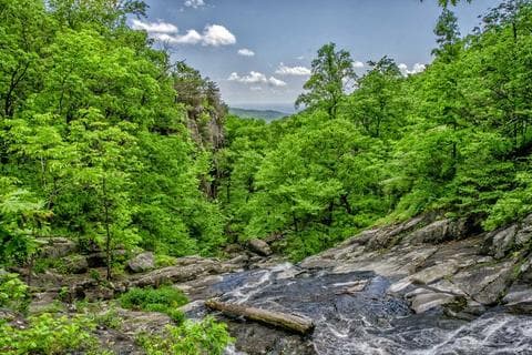 Rahul Live Singer — portfolio photo 4
